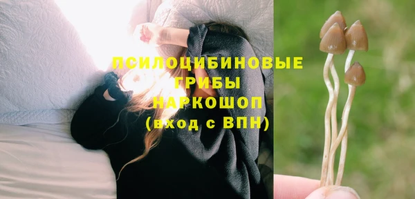 первитин Абинск