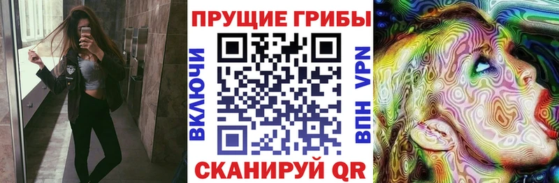 Галлюциногенные грибы Psilocybine cubensis Соликамск
